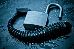 Changes in the Privacy and Network Security Landscape