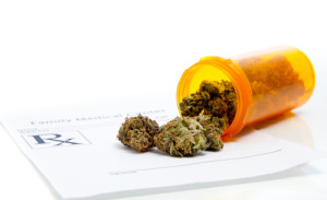 EPLI Establishing Policies among Marijuana Legalization